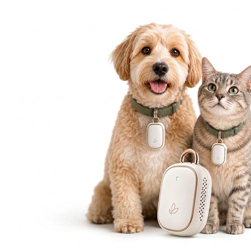 Qwelfjldf™ AeroPaw™ Smart Air Purifying Pet Pendant